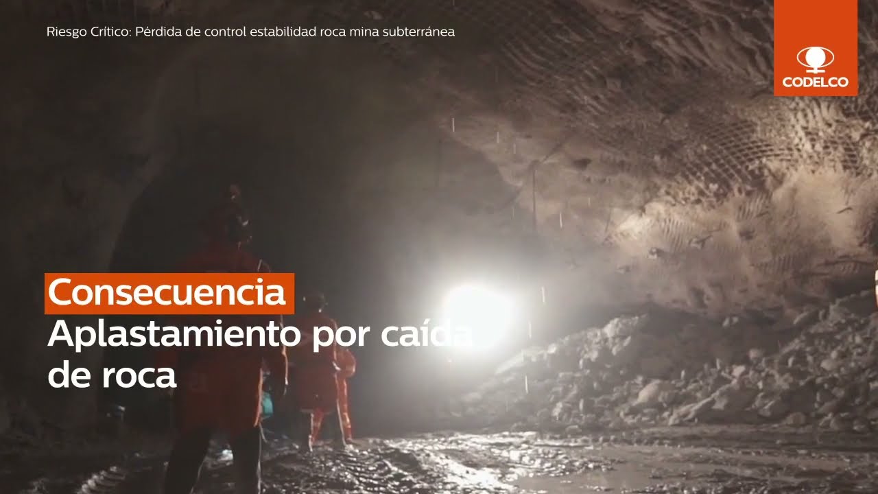 Conoce los 3 primeros BowTie