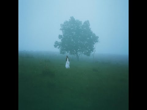 Asleep Among Endives - Ichiko Aoba Lyrics English