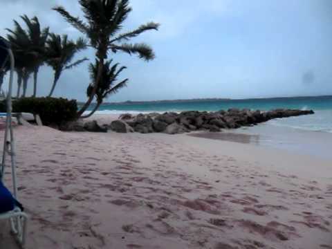 Videos del Turtle Beach By Elegant 4★ en Christ Church, Barbados
Ver Más
Ver
Precios
20
Cerrar
Consulta por Whatsapp 🇦🇷
Booking
Tripadvisor
Expedia
Agoda
Travelocity
Orbitz
Priceline
Trip
Skyscanner
Despegar
Kayak
Hoteles
Bestday
Destinia
Trivago
Turismocity
Lastminute
Hotwire
Tui
Wotif