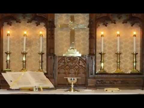 Sexagesima, 2/23/2025