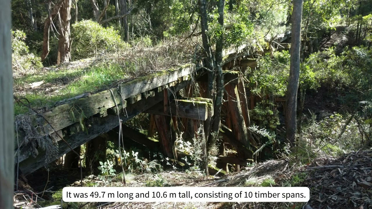 Boundary Creek (Plantations), Shelley