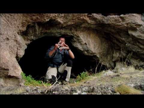 Ausgesetzt - Nachtlager