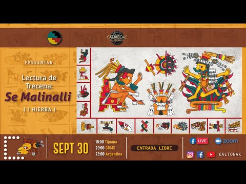 Lectura de trecena SE MALINALLI ( 1 Hierba )