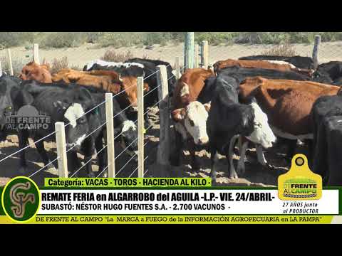 DE FRENTE AL CAMPO junto al SECTOR PRODUCTIVO - REMATE NHF S.A. -24/ABRIL -ALG. AGUILA - PARTE 3 -