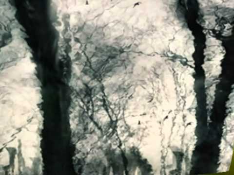 Zuzana Navarová Harfy v nebi