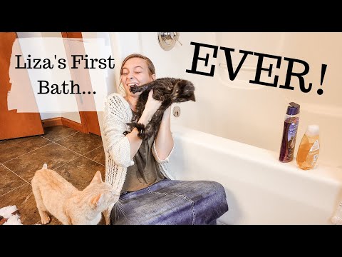 We Gave Liza A Bath! 6 Month Old Kitten//For the Littles