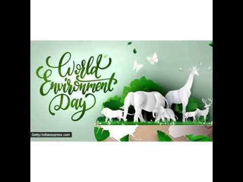 World Environment  day  2020- Art activity( Middle Unit)