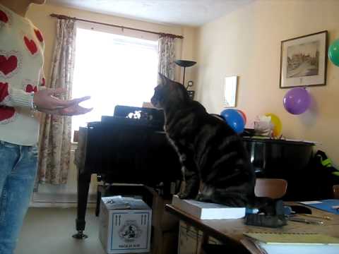 Alice Ella teaching her cat Casper to sing :p