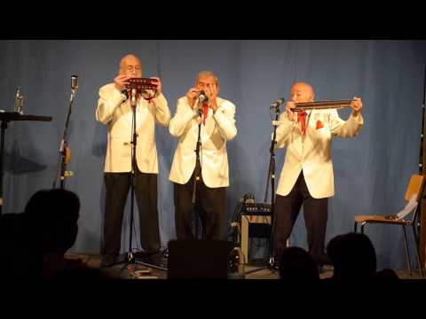 Drei Veteranos - Cats Blues