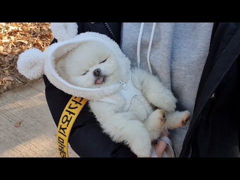 아이콘
