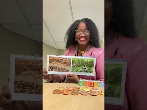 Reading 1,547 “Ishi, Simple Tips from a Solid Friend”