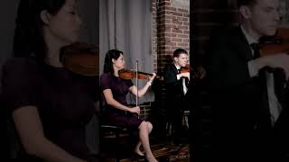 Concerning Hobbits from Lord Of The Rings #lotr #violin #lotrfans #middleearth #hobbits #bilbo