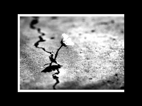 Ascion and d.carbone - Bad Bass (brian sanhaji remix)