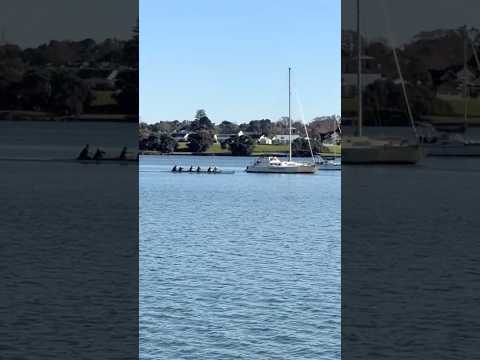 Outrigger canoe training #outriggercanoe #paddlers #auckland #newzealand