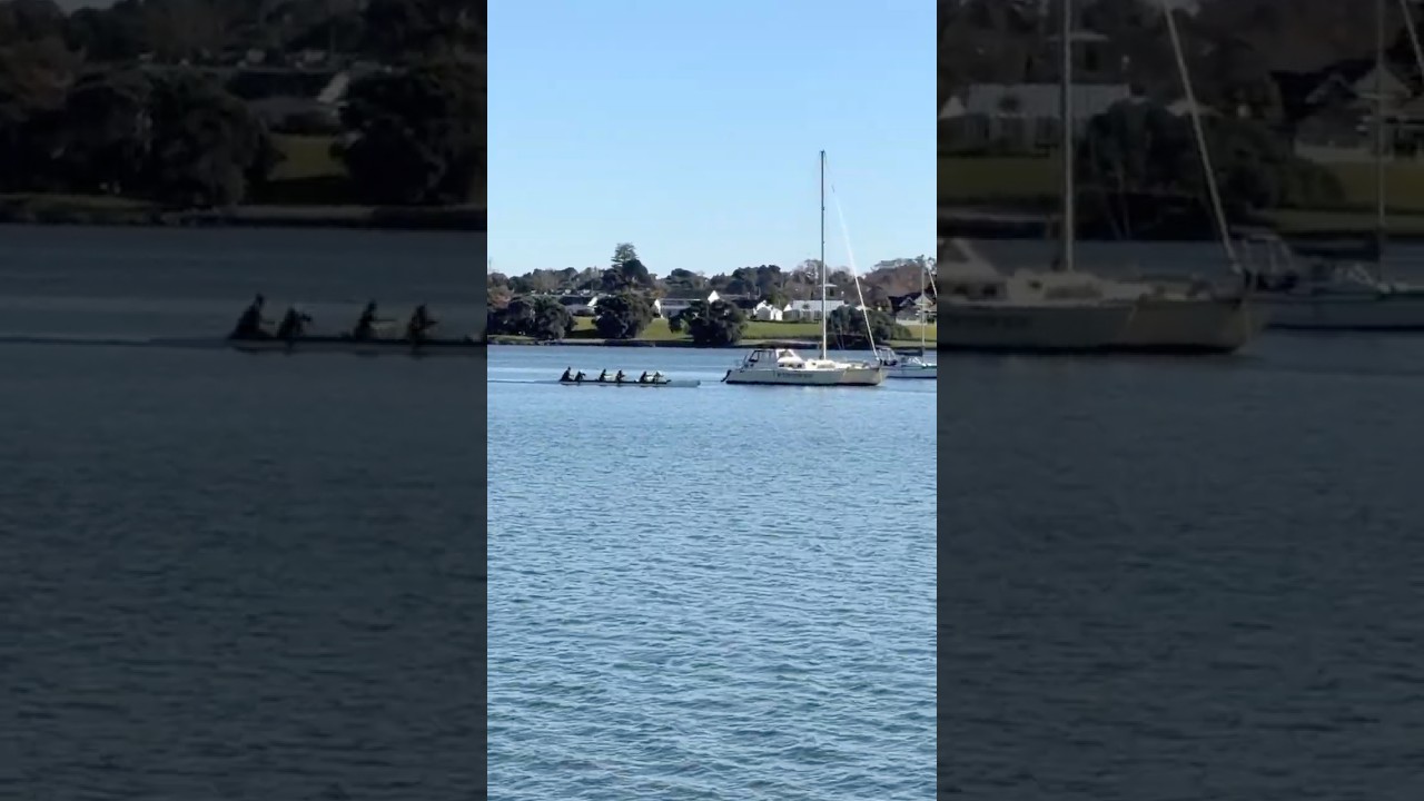 Outrigger canoe training #outriggercanoe #paddlers #auckland #newzealand