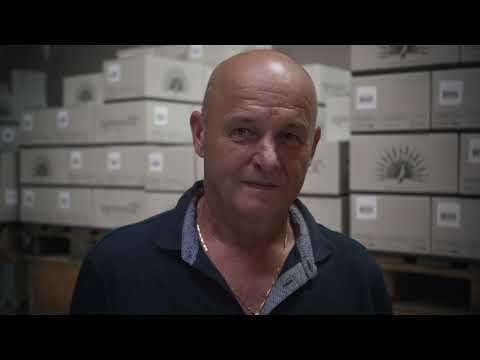 Kristancic Wines - VIDA Wines & Spirits