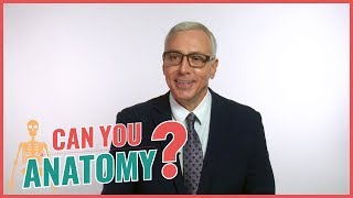 Can Dr. Drew Pinsky Answer Basic Anatomy Questions