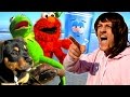 Angry Mom Takes Kermit The Frog Elmo Towelie Puppy To The Beach