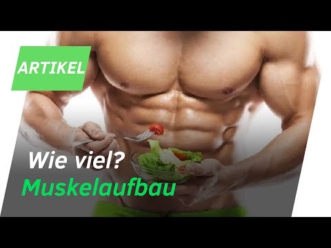 RICHTIGE Makronährstoff-Verteilung: Wie viel Eiweiß, Fett, Kohlenhydrate | Andiletics