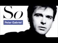 Peter Gabriel - This Is The Picture