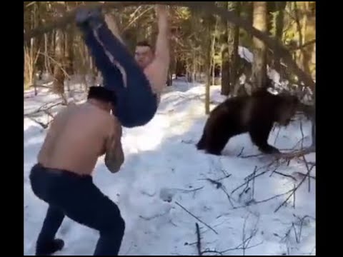Russian Workout Routine Exercise Training with Bears, Preparing for Ukraine Invasion #Shorts 🐻💤 𝓦𝓞𝓦