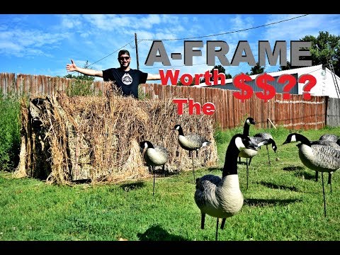 Is the AVIAN X A-FRAME BLIND Worth the MONEY$$??
