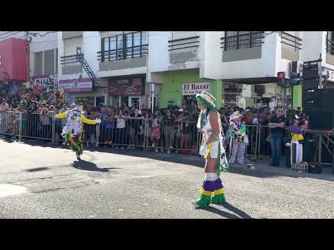 Carnaval 2023 - Corso municipal (5/7)