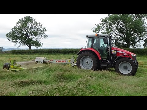 Cumbrian Silage - Mowing with NEW Massey Ferguson 5713S & Claas - Silage 2019