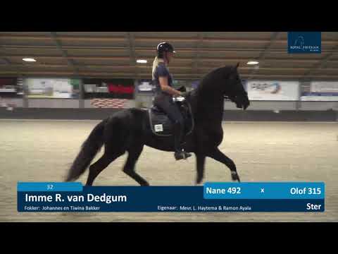 Voorrijdag Centraal Onderzoek | 18-6-2021