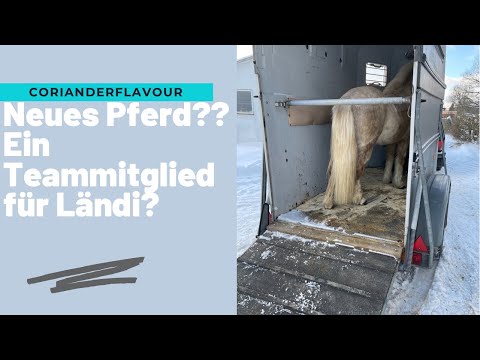Neues Pferd ?? Ein Teammitglied für Landlust ?