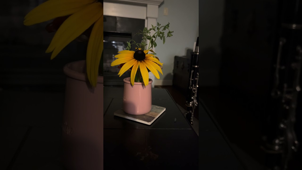 Promotional video thumbnail 2 for Living Violin