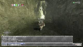 【FF11 / ファイナルファンタジーXI / PC / 復帰勢】フェイス取得したい(7)