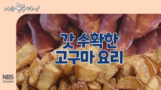 [나는농부다 274회] 갓 수확한 고구마 요리
