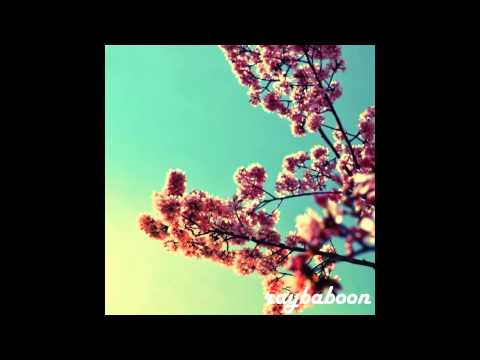 Yuga - Raybaboon