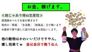 ひまじんに紹介したいペット選手権やろうとしたらASDが自分のプレゼンを始めてカオスすぎる