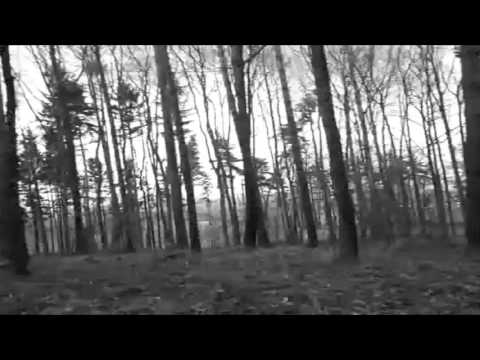 Snagathrak - Snagathrak - Dark forest (Official video)