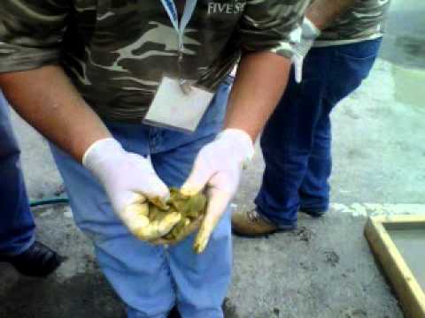 Splash Zone Compound