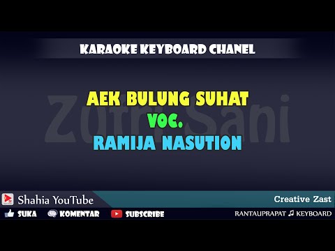 AEK DIBULUNG SUHAT TAPSEL KARAOKE KN7000