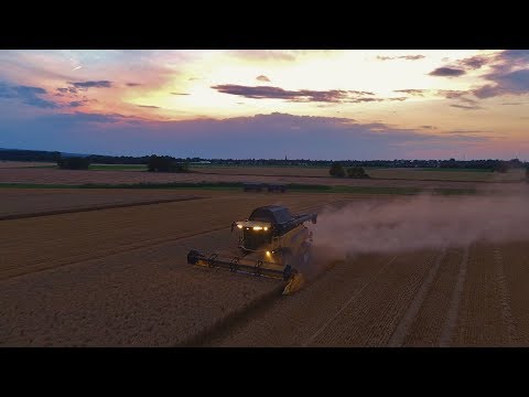 Dreschen im Abendlicht - New Holland CR 8.80