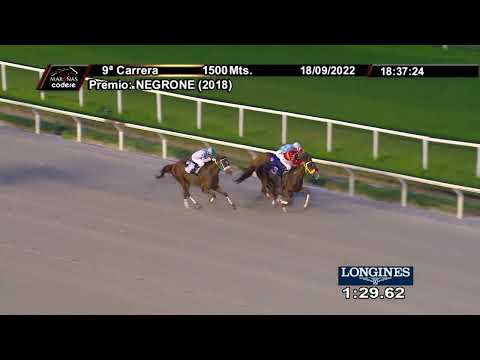 CARRERAS HIPODROMO MAROÑAS - 220918 c09 1° REI DA FLORIDA (BRZ)
