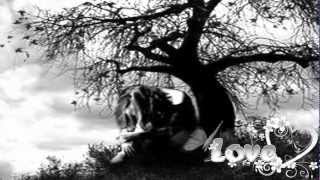 ♫ ❤Lonely nights ❤ Scorpions ❤♫