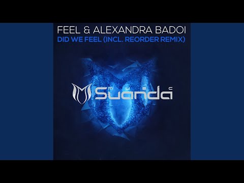 Did We Feel (ReOrder Dub Mix)