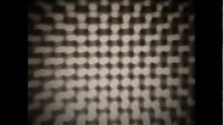 Brandon Boyd - The Wild Trapeze