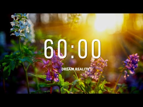Get READY For The MOST Relaxing 60 Minute Timer
