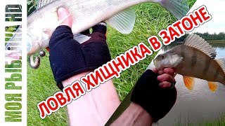 Рыбалка на юрьевском затоне в дзержинске