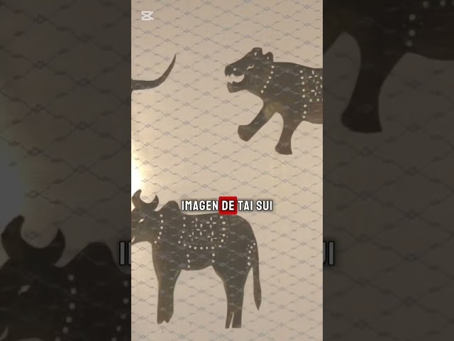 Vídeo relacionado con Amuleto De Buena Suerte Del Año De La Serpiente,2025 Amuleto Chino Feng Shui Tarjeta Dorada,Buena Suerte Riqueza Y Protección,Tarjeta Dorada Del Dios De La Riqueza Feng Shui Tai Sui