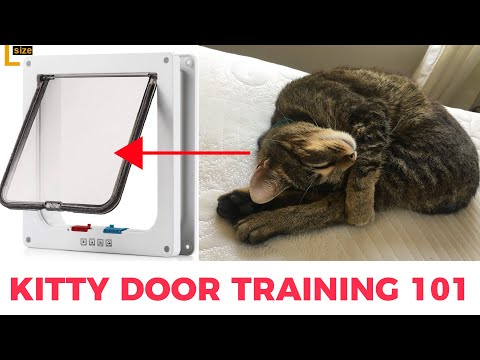 How to Train Your Cat to Use a Cat Door or Cat Flap | Magnetic Cat Flap Training