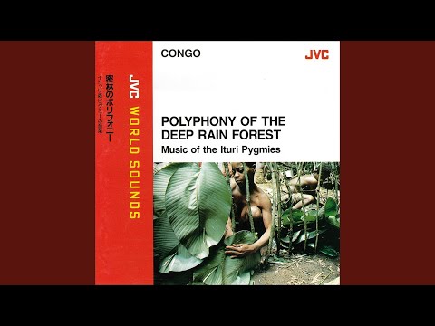 プロローグ～マンバサ宿のバラード