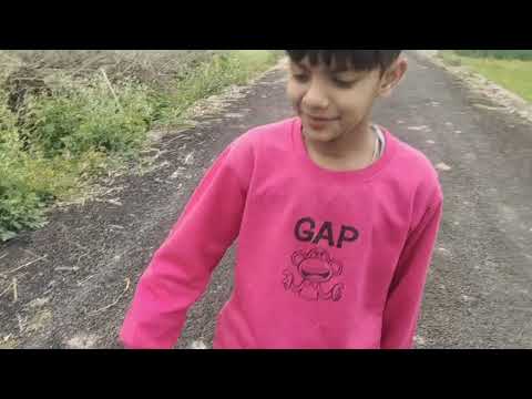 3 vlog khet ki sair #vlogs #khetibadikesehotihai @meta @YouTube