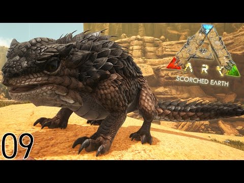 JE CAPTURE LE THORNY DRAGON ! | ARK: Scorched Earth ! #Ep9